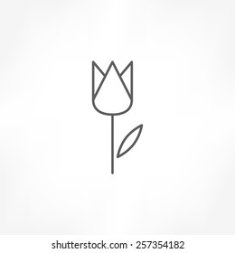 tulip icon