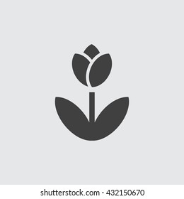 Tulip Icon