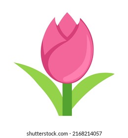 Tulip icon flat vector illustration on white background.Tulip flower plant cartoon design. Vector art