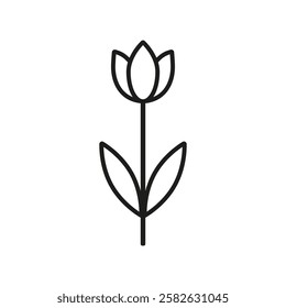 Tulip icon. Fllower with leaves icon. Vector. Line style.