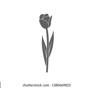 Tulip icon. Tulip flower vector illustration.  Flower icon. 