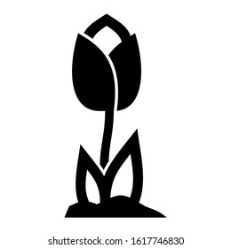 tulip icon isolated sign symbol vector illustration - high quality black style vector icons
