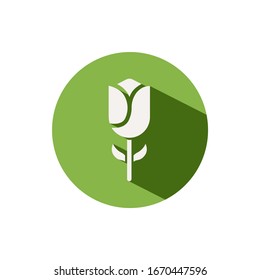 Tulip. Icon on a green circle. Flower vector illustration