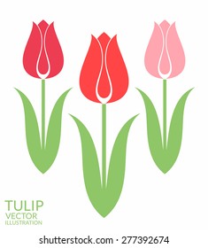 Tulip. Icon set. Abstract flowers on white background. Vector illustration