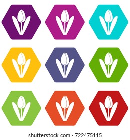 Tulip icon set many color hexahedron isolated on white vector illustration