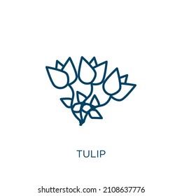 icono de tulipán. Icono de contorno tulipán lineal delgado aislado en fondo blanco. Signo de tulipán vectorial de línea, símbolo para web y móvil