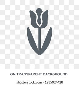 Tulip icon. Trendy flat vector Tulip icon on transparent background from nature collection. 