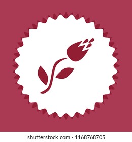 tulip icon, vector design element