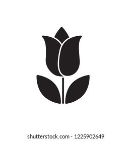 tulip icon vector. flower glyph icon