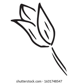 Tulip icon. Vector illustration of spring tulip flower. Hand drawn spring tulip.