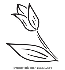 Tulip icon. Vector illustration of spring tulip flower. Hand drawn spring tulip.