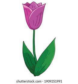 Tulip icon. Vector illustration of spring tulip flower on Holiday.