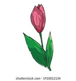 Tulip icon. Vector illustration of spring tulip flower on Holiday.