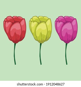 Tulip icon. Vector illustration of spring tulip flower on Holiday.