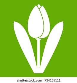 Tulip icon white isolated on green background. Vector illustration