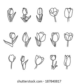 tulip icons 