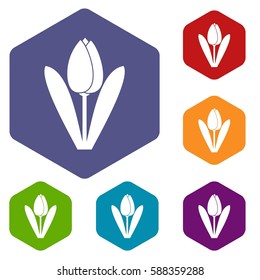 Tulip icons set rhombus in different colors isolated on white background