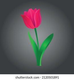 Vector de ilusión Tulip para imágenes de alta calidad