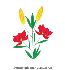 Tulip illustrations with different colors