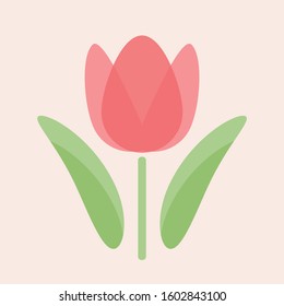 Tulip isolated on white background. Spring flower. Pink tulip vector illustration.
