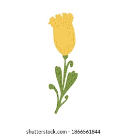 Tulip isolated on white background. Abstract flower yellow color in doodle style vector illustration.