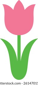 Tulip isolated on a white background.