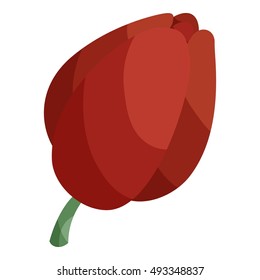 Tulip istanbul logo icon in cartoon style isolated on white background vector illustration
