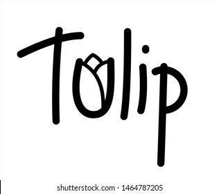Tulip. The Letter U in the form of a Bud of a Tulip. Handwritten Word Lettering Vector Image Isolated on white background.