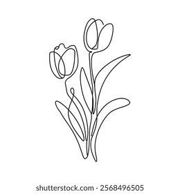 tulip line art. continuous line flower