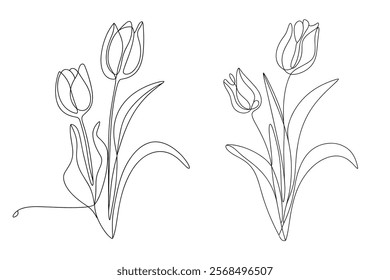 tulip line art. continuous line flower