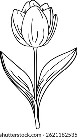 Tulip line art. Flat isolated  hand drawn flowers. Minimalist style vector illustration