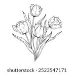 Tulip line art sketch flower. Hand drawn tulips bouquet black drawing. Abstract floral leaves. Vector illustration in outline style