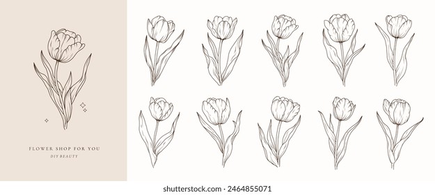 Tulip line art sketch flower. Hand drawn tulips bouquet black drawing. Abstract floral leaves. Vector illustration in outline style