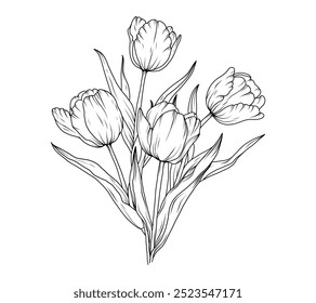 Tulip line art sketch flower. Hand drawn tulips bouquet black drawing. Abstract floral leaves. Vector illustration in outline style