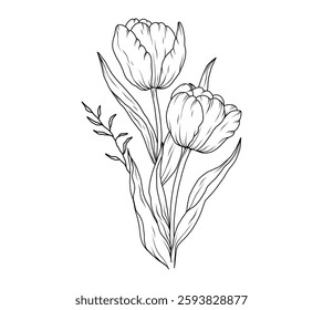 Tulip line art sketch flower. Hand drawn tulips bouquet black drawing. Abstract floral leaves. Vector illustration in outline style