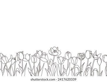 Tulip Line Drawing Background Wallpaper, Frames Web graphics