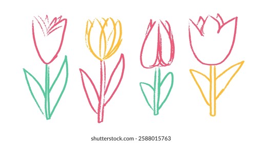 Tulip line flowers crayon drawn set. Spring crocus plants doodle. Summer floral kids elements. Chalk or pastel style childish shape. Vector naive pencil illustration isolated on white background.