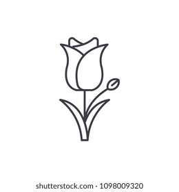 Tulip line icon concept. Tulip flat vector sign, symbol, illustration.