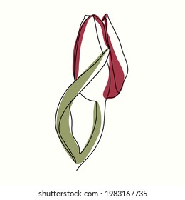 Tulip line vector illustration. Flower illustration for web design. Flower minimalist artwork.