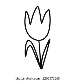 Tulip linear flower. Vector illustration isolated on white background