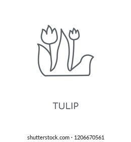 Tulip linear icon. Tulip concept stroke symbol design. Thin graphic elements vector illustration, outline pattern on a white background, eps 10.