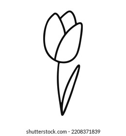 Imagen tulipán lineal, gráficos en blanco y negro. Vector