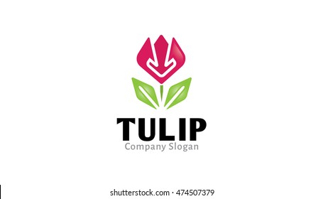Tulip Logo Design Illustration