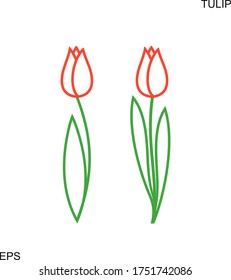 Logo de Tulip. Tulipán aislado sobre fondo blanco