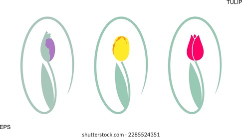 Tulip logo. Isolated tulip on white background
