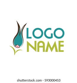 Tulip logo on the white background