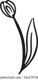 tulip on a white background. black belvy tulip .flower .for logo, children's coloring