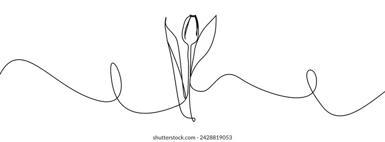 Tulip one line drawing. Flower one line. Abstract flower continuous line. Minimalist contour drawing of tulip. Continuous line drawing of flower tulip. Hand drawn sketch of flower with leaves.