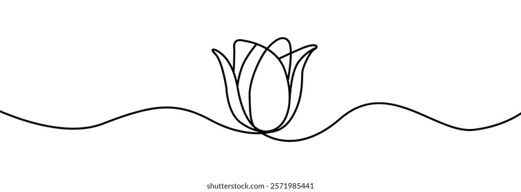 Tulip one line drawing.Abstract flower continuous line. Minimalist contour drawing of tulip. Continuous line drawing of flower tulip.Hand drawn sketch of flower with leaves.