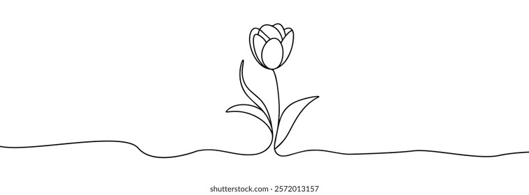 Tulip one line drawing.Abstract flower continuous line. Minimalist contour drawing of tulip. Continuous line drawing of flower tulip.Hand drawn sketch of flower with leaves.